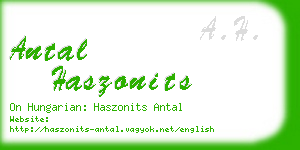 antal haszonits business card